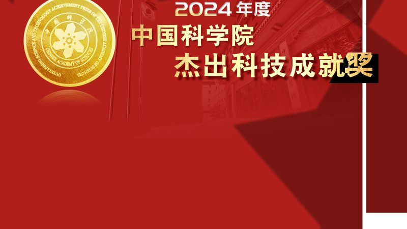解码广州数据服务流程：关键环节与优化策略